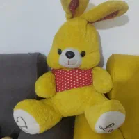 خرگوش