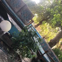 فروش تعدادی دشک و پشتی