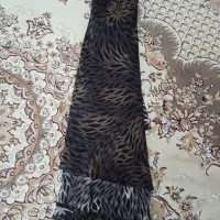 چادر|لباس|قم, ولیعصر|دیوار
