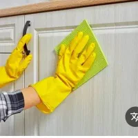 خانم جهت نظافت منزل