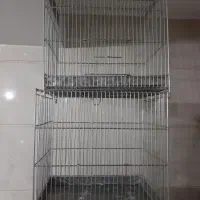 قفس غلامی