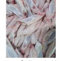 ضایعات مرغ غذای سگ|لوازم جانبی حیوانات|میناب, |دیوار