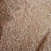 گندم قرمز اکلید درشت|خوردنی و آشامیدنی|ویلکیج, |دیوار