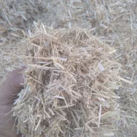 کاه جو درجه یک