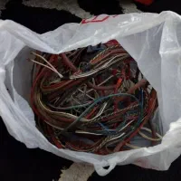 پک سیستم صوتی کامل حرفه ایی|صوتی و تصویری|کلاردشت, |دیوار