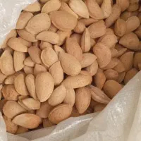 بادام بوانات کیلو 560