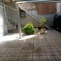 سویت تمیزمرتب حیات دار