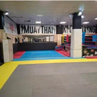 باشگاه بوکس و‌بدنسازی/ اموزش بوکس/  مربی خصوصی