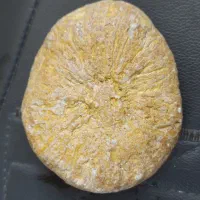 شهاب سنگ مریخی