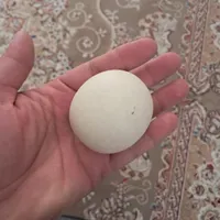 سنگ اسیاب