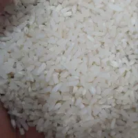 لاشهبرنجهاشمی ..نیمدانه وریزهسورتینگشده|خوردنی و آشامیدنی|کوچصفهان, |دیوار