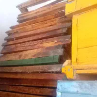 کندو تمیز رنگ‌دار|حیوانات مزرعه|دهدشت, |دیوار