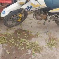 موتور کویر۲۵۰|موتورسیکلت|میانه, |دیوار