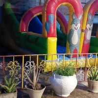 سرسره بادی|اسباببازی|فیروزآباد (فارس), |دیوار