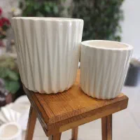 گلدان سرامیکی|گل و گیاه طبیعی|اصفهان, تخت فولاد|دیوار