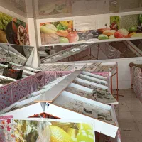 قفسه میوه ترابری|فروشگاه و مغازه|جم, |دیوار