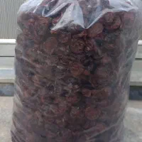 آلوچه به فروش میرسد