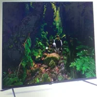 تلویزیون فیلیپس 55 اینچ هوشمندQLEDمدل 55PQT8169/98