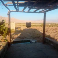 زمین فروشی|فروش زمین و ملک کلنگی|برزک, |دیوار