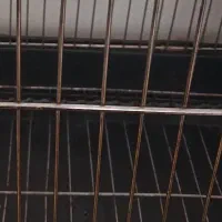 قفس طوطی عروس هلندی|لوازم جانبی حیوانات|تهران, جوادیه تهرانپارس|دیوار