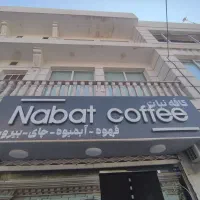 باریستا خانوم جهت همکاری متعهد