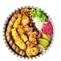 غذای خونگی