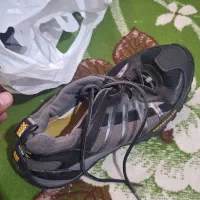 کفش اورجینال کاترپیلار