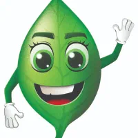 همکار خانم زیر 40سال سبزی ریحان