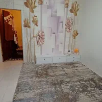 فروش آپارتمان ۵۵ متری تک واحدی/ نوساز|فروش آپارتمان|پاکدشت, پاکدشت (مامازند)|دیوار