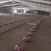 تجهیزات مرغداری  هواکش جت هیتر