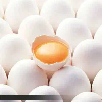 فروش تخم مرغ