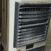 کلرپلیمری سلولزی