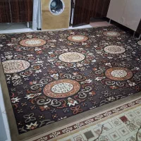 فرش|فرش|محمدشهر, محمدشهر|دیوار