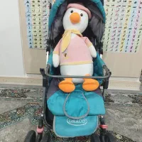 کالسکه بچه در فامنین