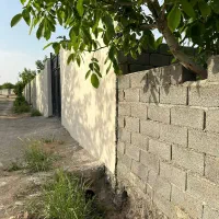 زمین 250متری به بالا باسند تکبرگ