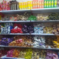 تغذیه برای دلبندتان زیر قیمت کارخانه