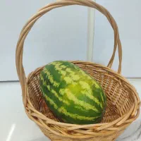 سبد میوه وچله ویلدا