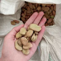 باقالی مازندرانی