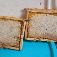 فروش عسل طبیعی و دارویی  سارال