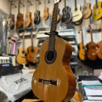 گیتار آموزشی در موزیک ارژنگ