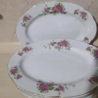 تعدادی دیس گلسرخی قدیمی