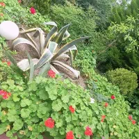 اجاره ویلا دوخواب نزدیک دریا وجنگل شبانه،ماهانه|اجارهٔ کوتاه‌مدت ویلا و باغ|نور, |دیوار