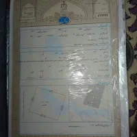 ۵۵۰متر زمین