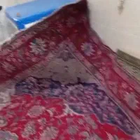 فرش دستباف 12متری تبریز|فرش|شیراز, زرهی|دیوار
