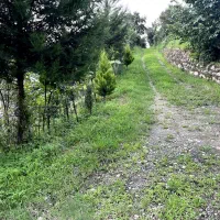 خونه باغ روستایی|فروش زمین و ملک کلنگی|شیرود, |دیوار