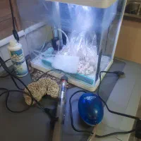 آکواریوم با تمام متعلقات|ماهی|تهران, دکتر هوشیار|دیوار