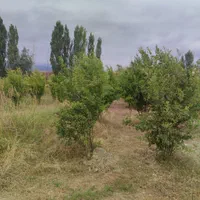 زمین باغ 300مترسنددارامتیازآب فنس کشی آماده|فروش زمین و ملک کلنگی|گرگان, |دیوار