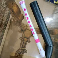 فلوت ریکوردر
