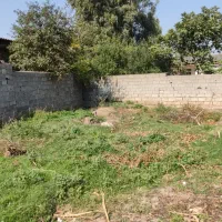 فروش زمین مسکونی روستایی داخل بافت|فروش زمین و ملک کلنگی|فاضل آباد, |دیوار