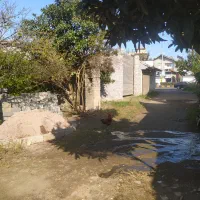 ۱۰۰ متر زمین مسکونی با بر عالی قیمت مناسب ۱۱۰۰|فروش زمین و ملک کلنگی|لنگرود, |دیوار